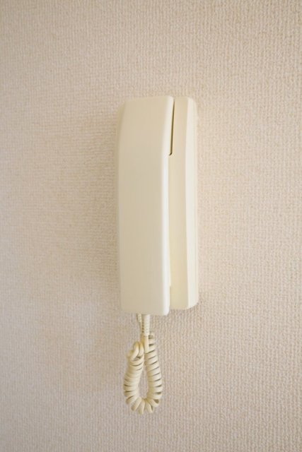 成加パラシオン4階 セキュリティ