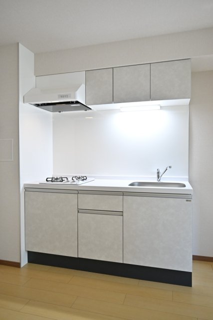 ＣＥＮＴＲＡＬ　ＧＡＲＤＥＮ　ＲＥＳＩＤＥＮＣＥ　ＴＯＫＹＯ2階 キッチン