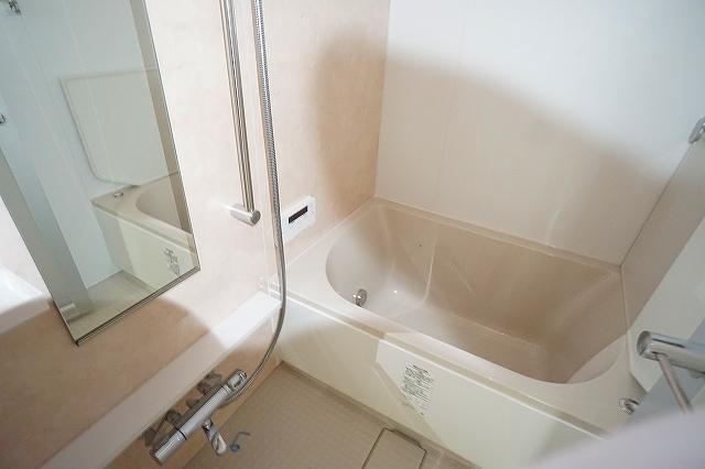 ・ALTERNA亀戸Ⅲ5階 同建物別部屋の参考画像