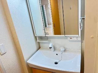 Ｇｌａｎｚ　-グランツ-202号室 洗面（イメージ）