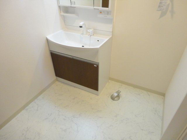 Ｒｅｇａｌｉａ（レガリア）306号室 洗面台・室内洗濯機置場