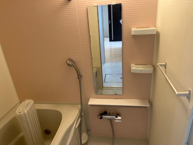 Ｂｒｉｌｌａｎｔ　（ブリリアン） バス