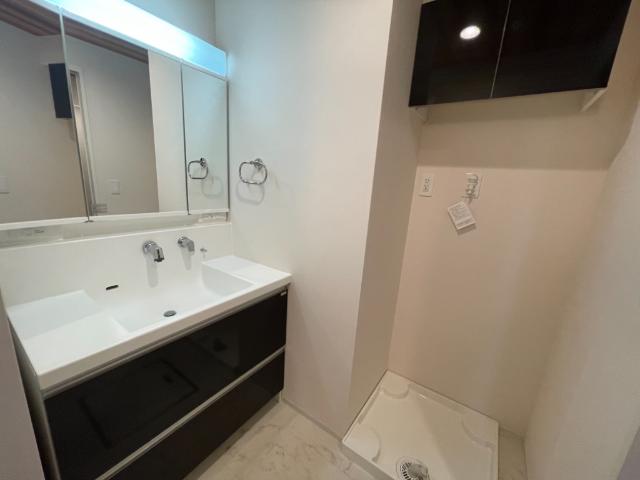 グラン　ドマーニ101号室 洗髪洗面化粧台