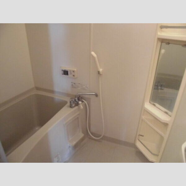 プレジオ201号室 浴室