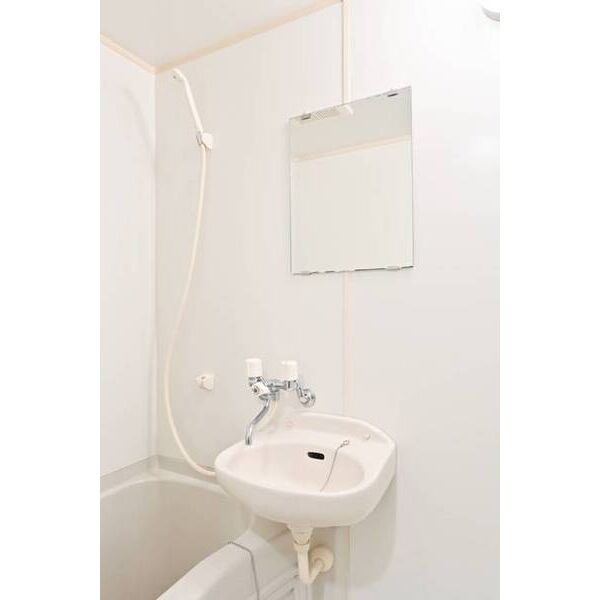 タミーハイツ本厚木0206号室 洗面