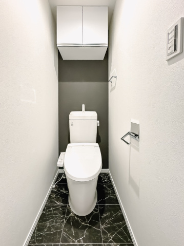 スカイルーチェ南浦和102号室 トイレ