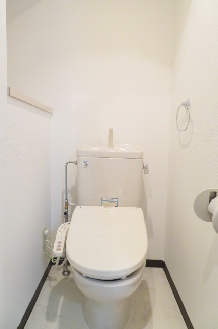 グランド・ガーラ麻布十番 落ち着いたトイレです