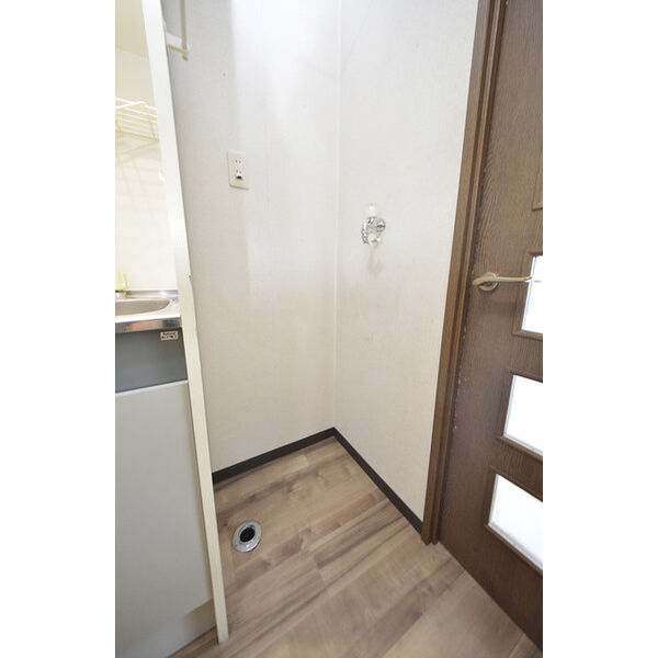 ヒルズガーデン東雪谷0205号室 洗濯機置場