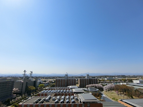 サンクタス立川Ｔ１818号室 同建物別部屋の参考画像