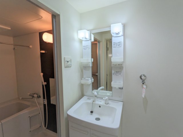 アイビーコート401号室 洗面