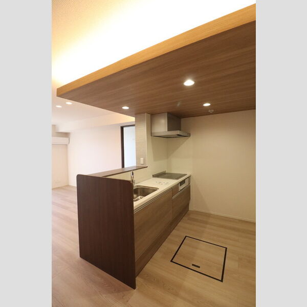 センカⅢ103号室 システムキッチン