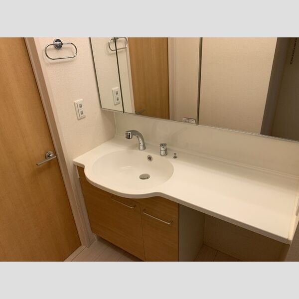 ロイジェントパークス レイクタウン Ⅲ　H201号室 洗髪洗面化粧台