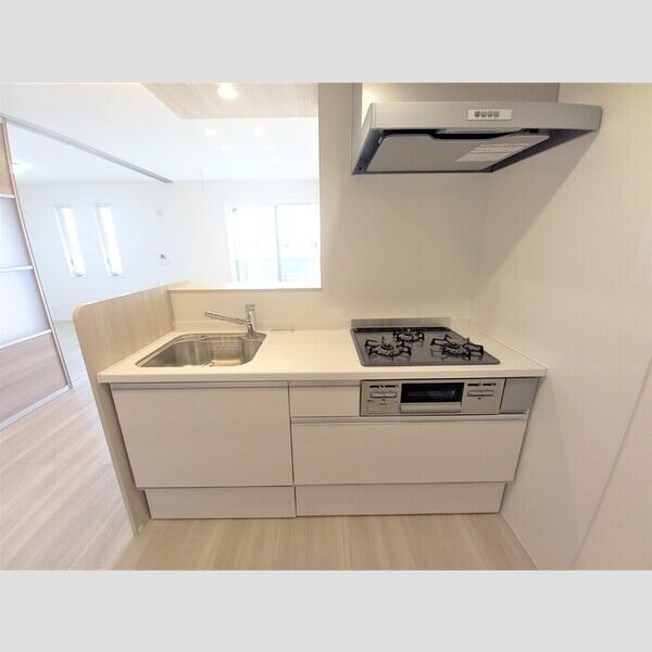 グリーンパティオ206号室 システムキッチン