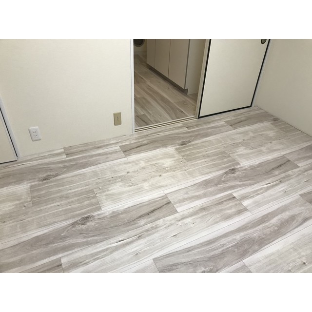 リエス伊勢原306号室 リビング