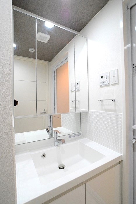 ステージグランデ向島4階 洗面