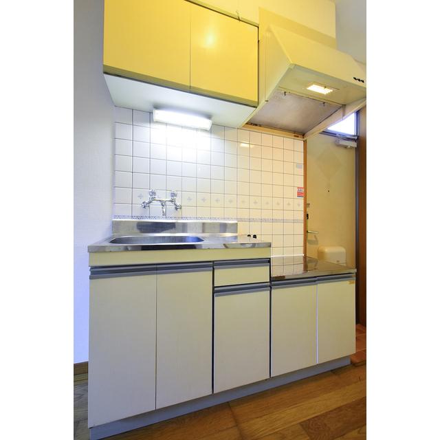 サウスピア吉祥寺1階 キッチン