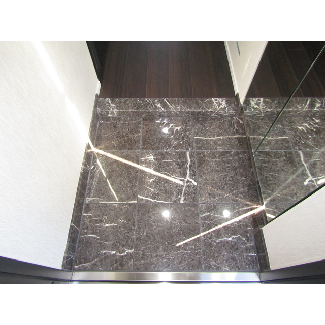 ロアール川崎新町2階 玄関