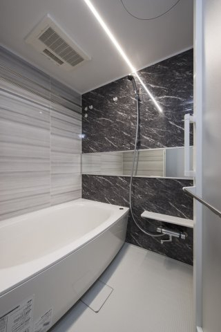 DIPS墨田RIVERSIDE203号室 お風呂