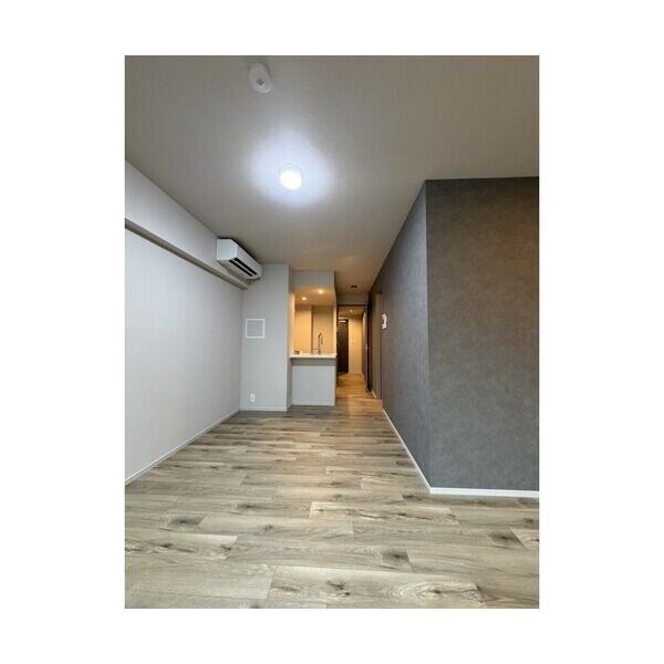 The　Residence　Ichigayadaimachi202号室 リビング