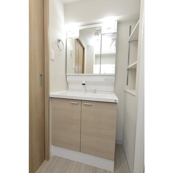 クリオ　ラモード学芸大学Ⅱ0201号室 洗面