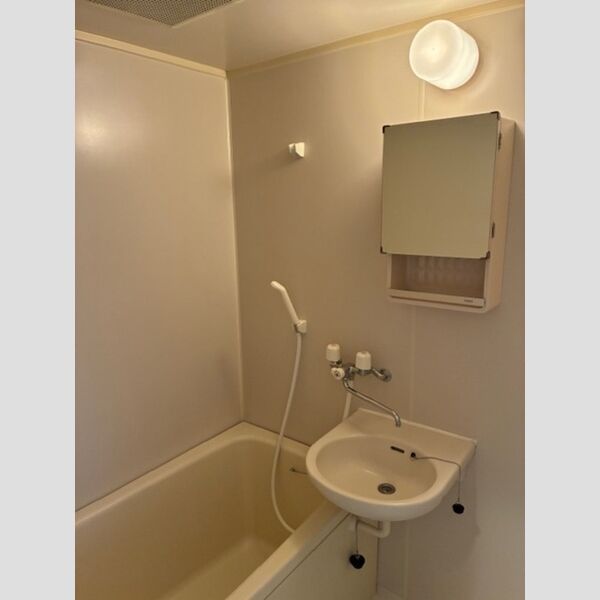 ハイムカメリア305号室 浴室