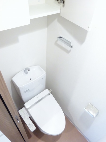 ラフィスタ宮崎台502号室 トイレ