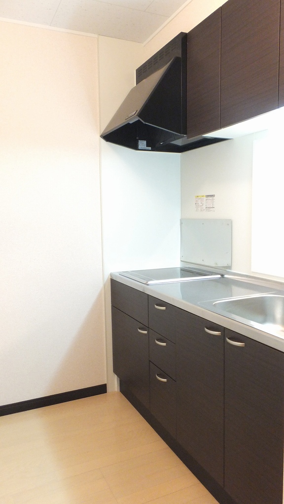 レオネクストマンダリーヌⅥ 2口の電気コンロ付き