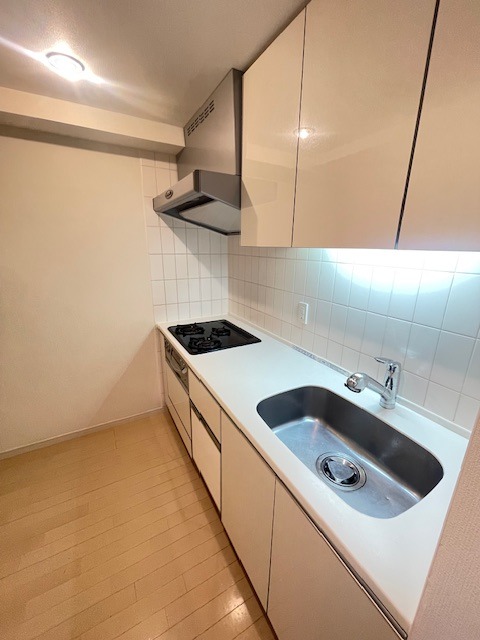 ザ・パーククロス錦糸町レジデンス2階 同建物別部屋の参考画像