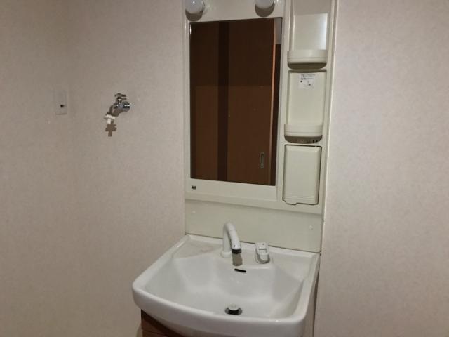パラシオン平塚00202号室 洗面