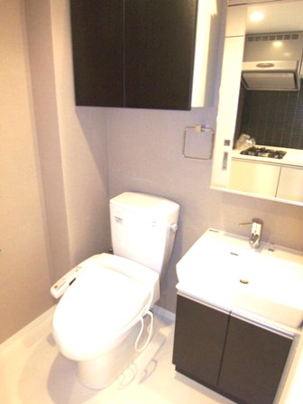 グラントゥルース大森ライズ1503号室 洗面