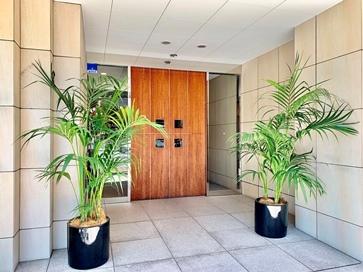 マイプレジール広尾9階 エントランス