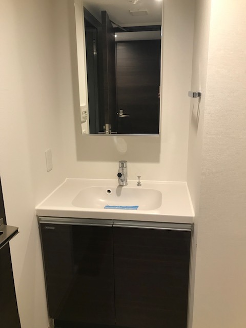 レジディア西小山1階 洗面