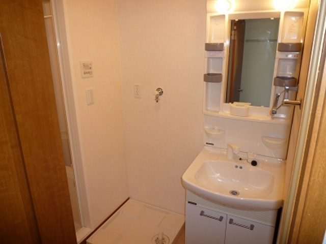 レジデンス　テラ自由が丘0201号室 洗面
