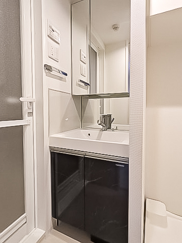 アジールコート東大井316号室 洗面