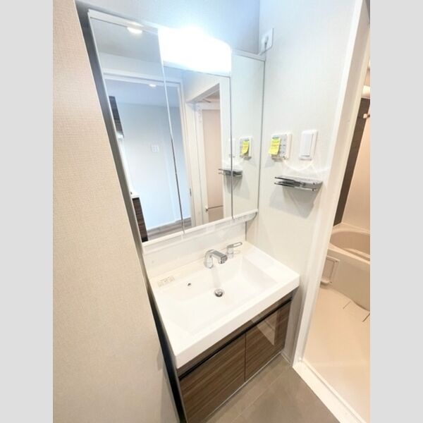 ロイジェント山王0801号室 洗面所