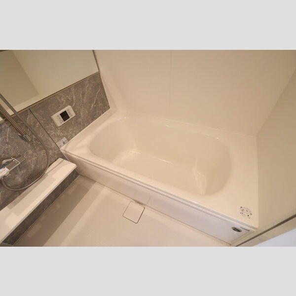 モンステラ 一坪風呂