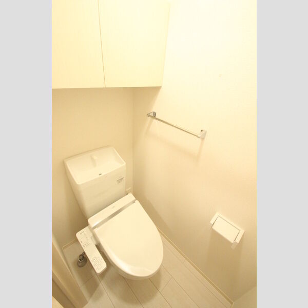 メゾン　アムール302号室 トイレ