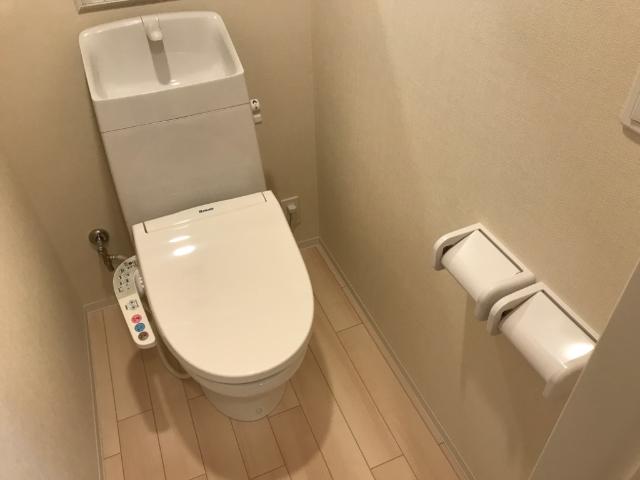 ツー・ヒル・ライブ203号室 シャワー付トイレ