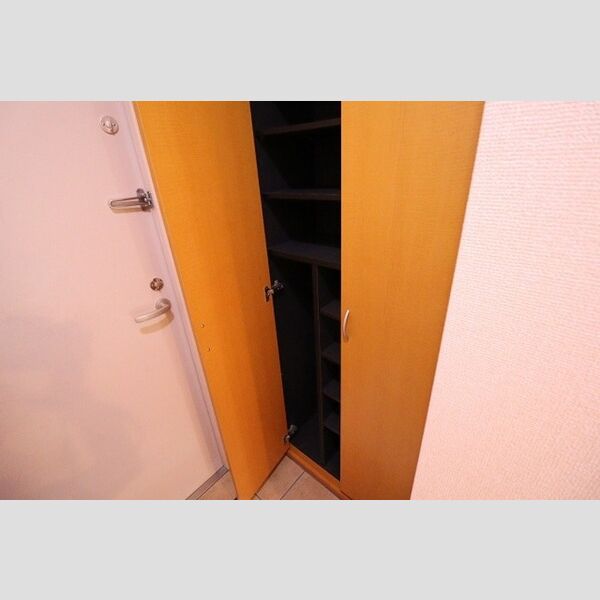 ヴェルドミール カシマ シューズボックス