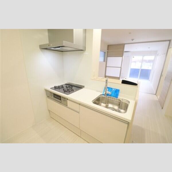 D Paina 菅馬場2B システムキッチン