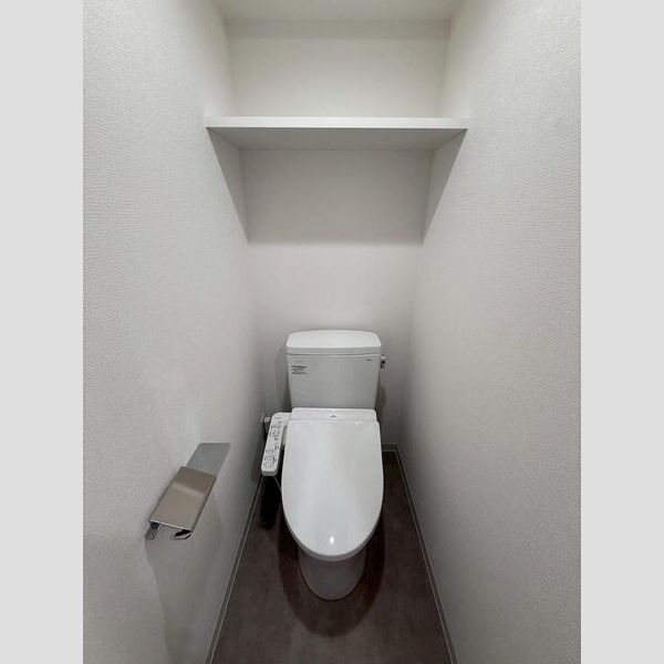 MAXIV CROS高島平MIRAIS802号室 洗面