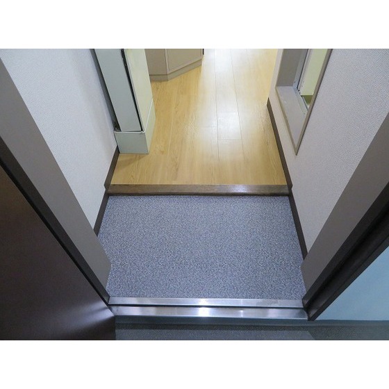 アレックスビル 玄関