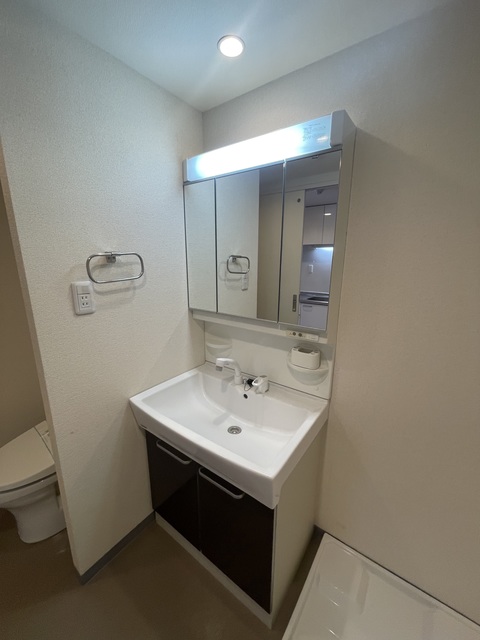 グリーンフラッツ0203号室 洗面