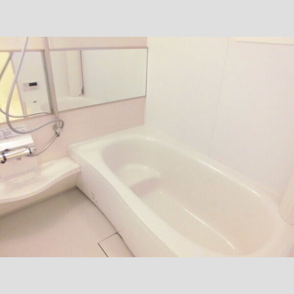 PARK　HILLS　MIYAKO　H205号室 一坪バス