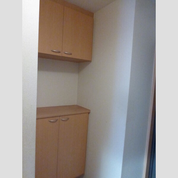 セジュールZEN　参番館307号室 シューズボックス