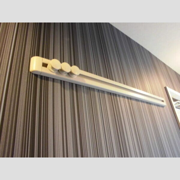 グランシャリオ202号室 ハングバー