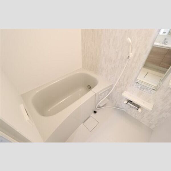 Ferro Risaia202号室 浴室