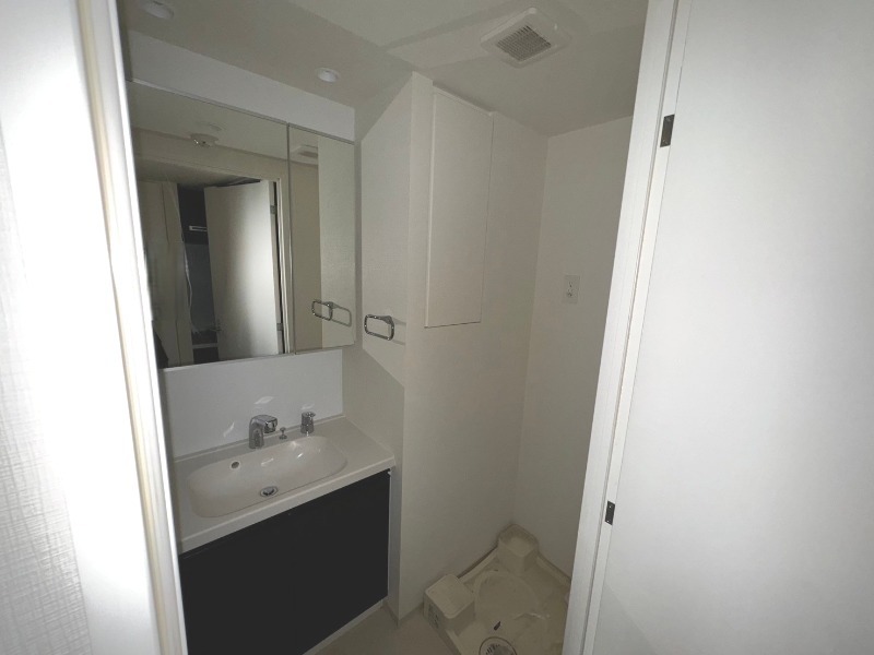 TFレジデンス川崎殿町WEST5階 洗面