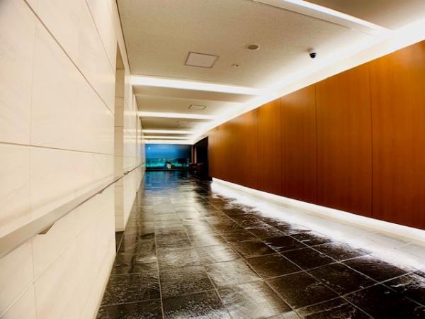 Ｂｒｉｌｌｉａ銀座ｉｄ408号室 エントランス