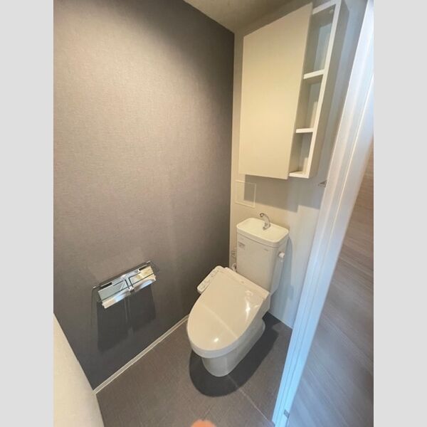 ロイジェント扇橋0603号室 トイレ